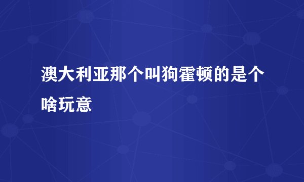 澳大利亚那个叫狗霍顿的是个啥玩意