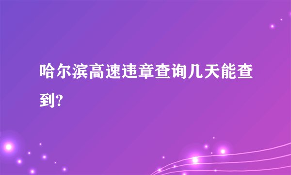 哈尔滨高速违章查询几天能查到?