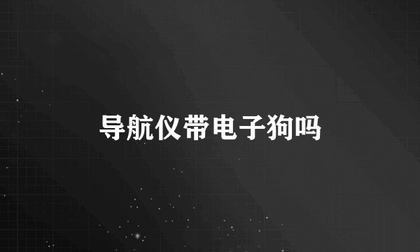 导航仪带电子狗吗