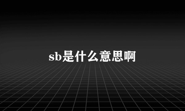 sb是什么意思啊