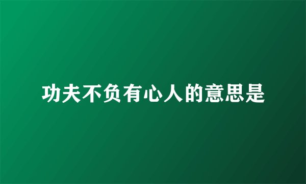 功夫不负有心人的意思是