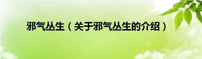 邪气丛生（关于邪气丛生的介绍）