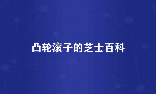 凸轮滚子的芝士百科