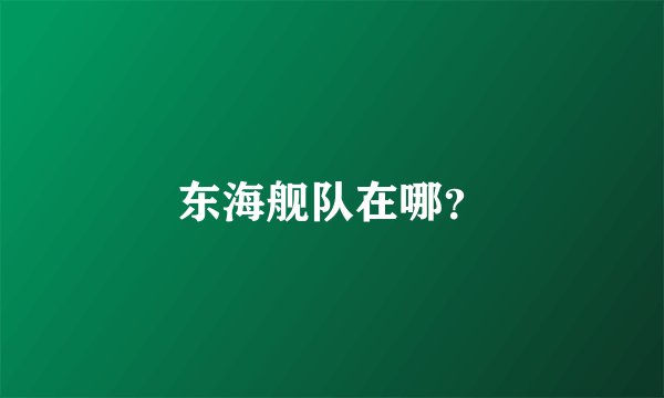 东海舰队在哪？