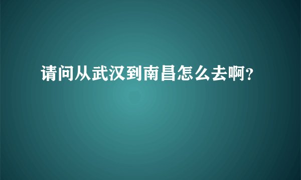 请问从武汉到南昌怎么去啊？