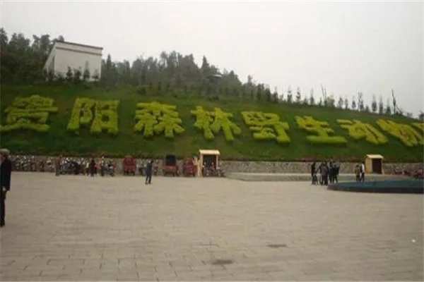 贵阳有什么好玩的地方?盘点贵阳好玩的地方排行榜