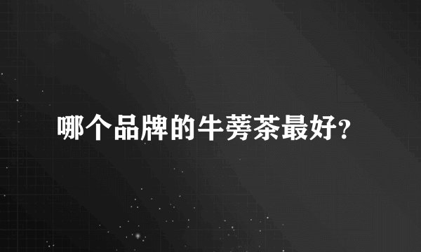 哪个品牌的牛蒡茶最好?