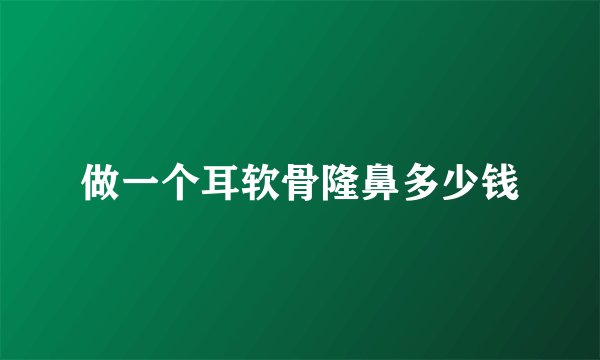 做一个耳软骨隆鼻多少钱