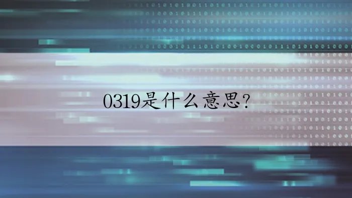 0319是什么意思？