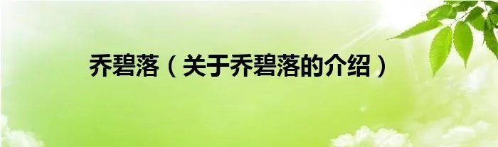 乔碧落（关于乔碧落的介绍）
