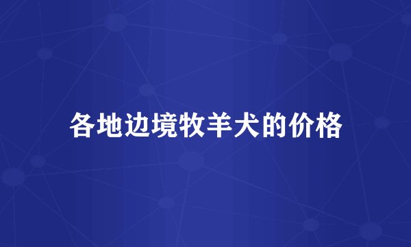 各地边境牧羊犬的价格
