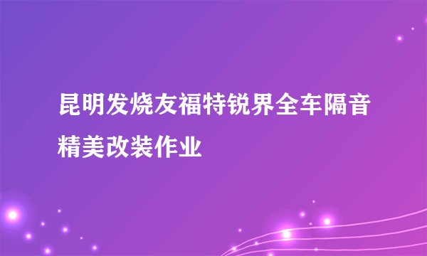 昆明发烧友福特锐界全车隔音精美改装作业