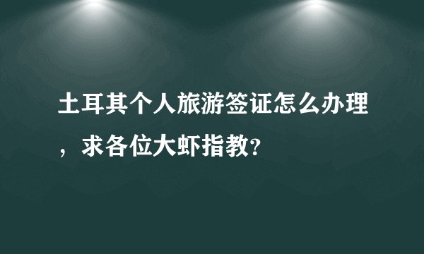 土耳其个人旅游签证怎么办理，求各位大虾指教？