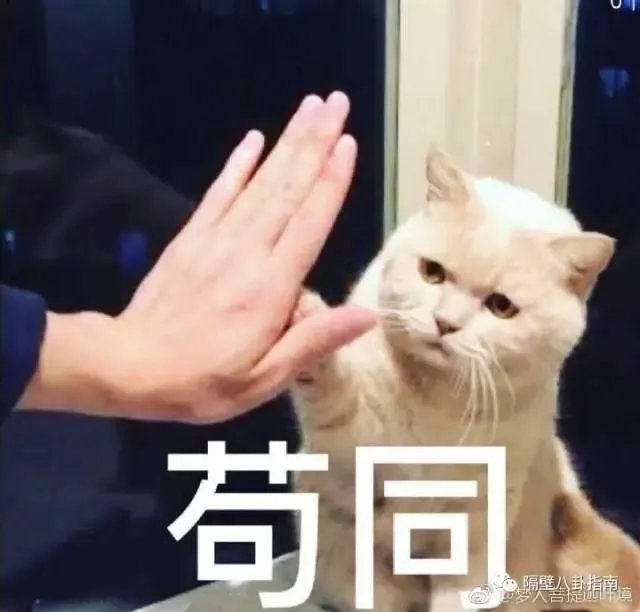 Papi酱跨界演电影,怎么看网红进军演艺圈的现象?