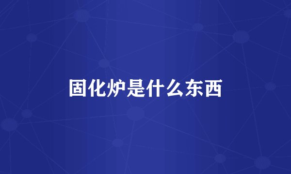 固化炉是什么东西