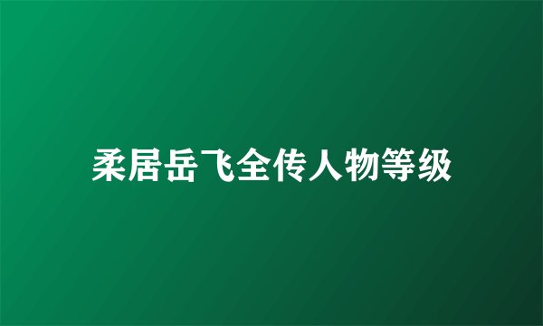 柔居岳飞全传人物等级