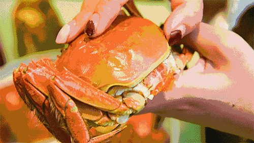 昆山阳澄湖大闸蟹第一品牌_昆山阳澄湖大闸蟹攻略