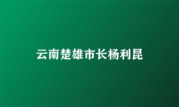 云南楚雄市长杨利昆