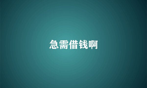 急需借钱啊