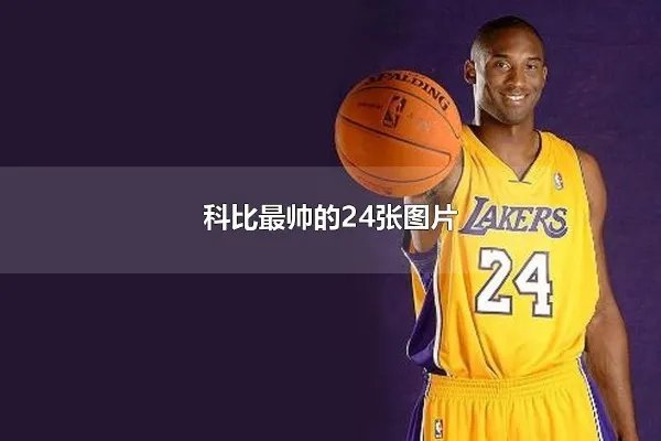科比最帅的24张图片 科比的照片