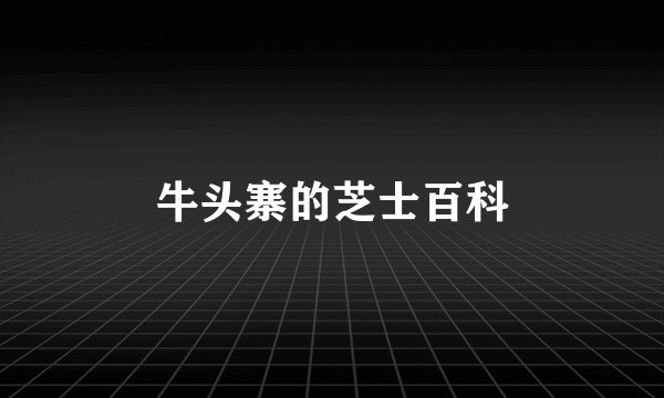 牛头寨的芝士百科