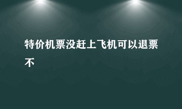 特价机票没赶上飞机可以退票不