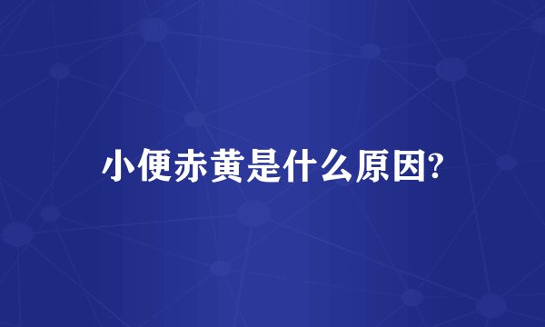 小便赤黄是什么原因?