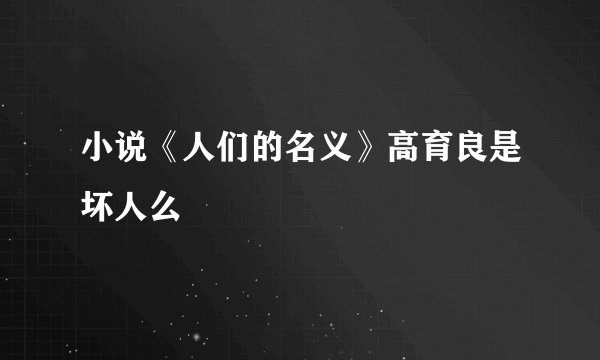 小说《人们的名义》高育良是坏人么