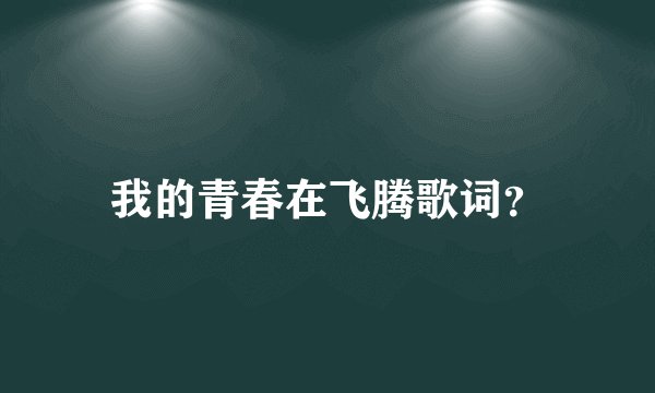 我的青春在飞腾歌词？