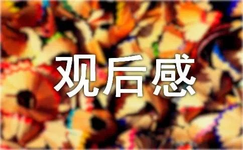仙境之桥观后感