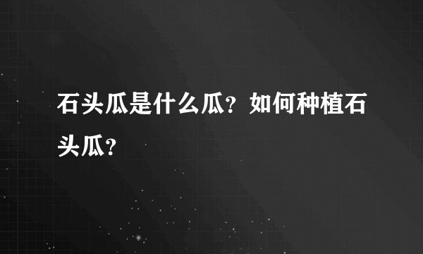 石头瓜是什么瓜？如何种植石头瓜？