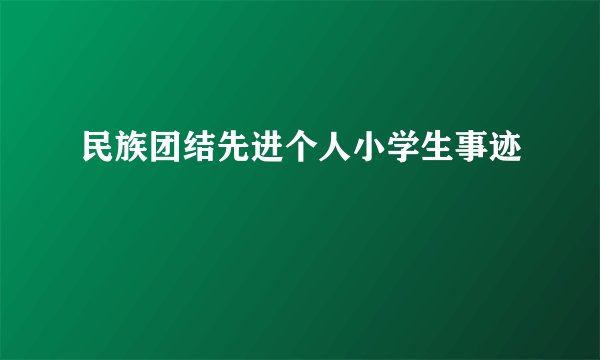 民族团结先进个人小学生事迹