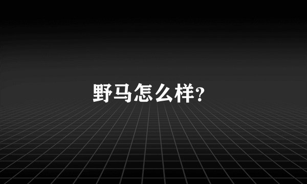 野马怎么样？