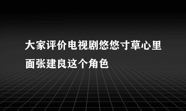 大家评价电视剧悠悠寸草心里面张建良这个角色