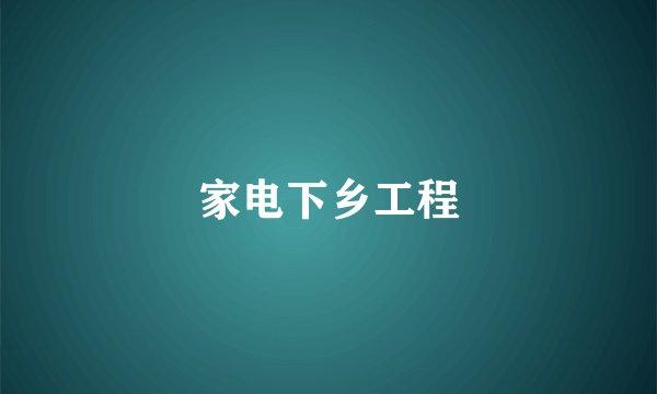 家电下乡工程