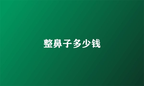 整鼻子多少钱