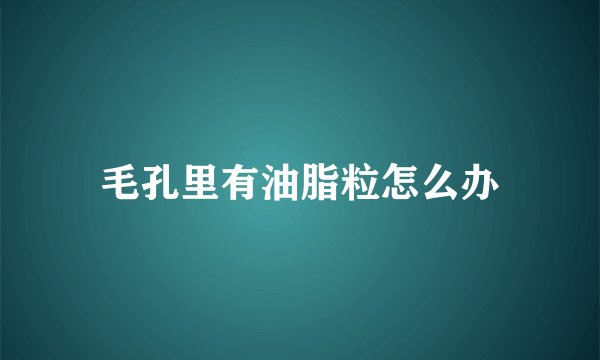 毛孔里有油脂粒怎么办