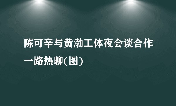 陈可辛与黄渤工体夜会谈合作一路热聊(图)