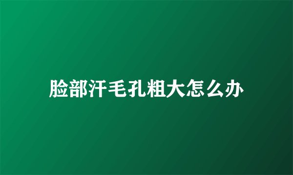 脸部汗毛孔粗大怎么办