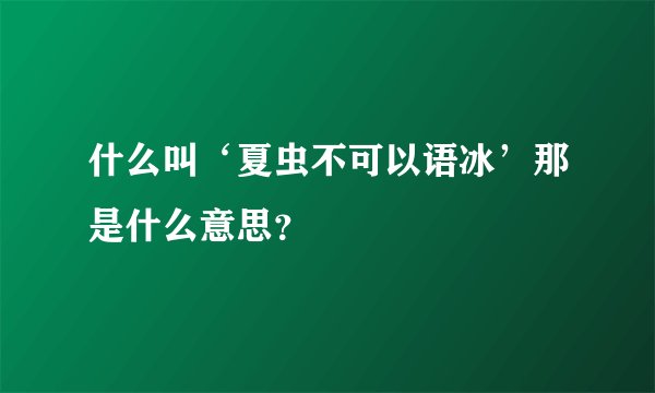 什么叫‘夏虫不可以语冰’那是什么意思？