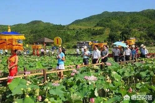 2018年农业的商机有哪些?