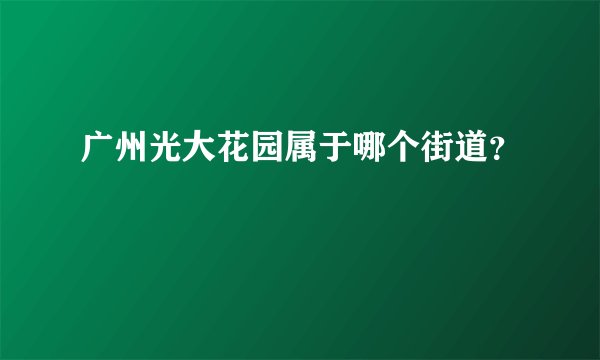 广州光大花园属于哪个街道？