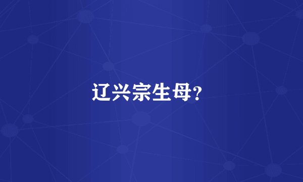 辽兴宗生母？