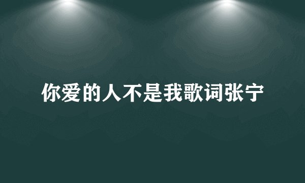 你爱的人不是我歌词张宁