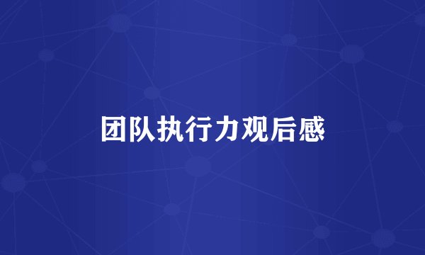团队执行力观后感