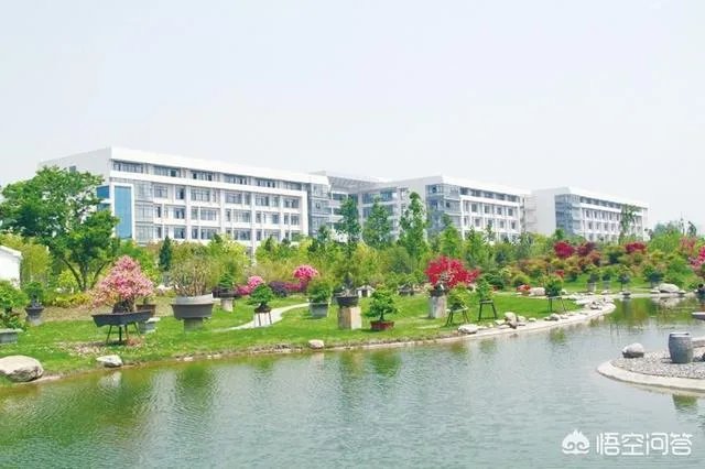 皖西学院咋样?