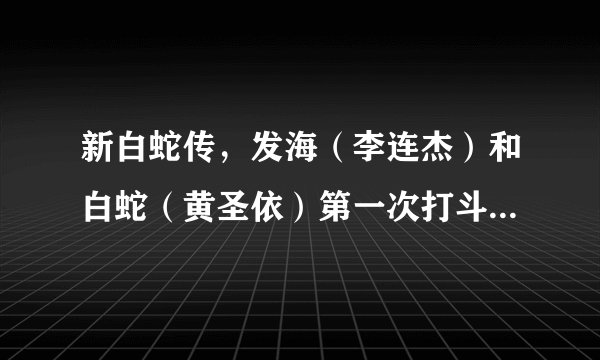 新白蛇传，发海（李连杰）和白蛇（黄圣依）第一次打斗完时，发海和白蛇的对话？