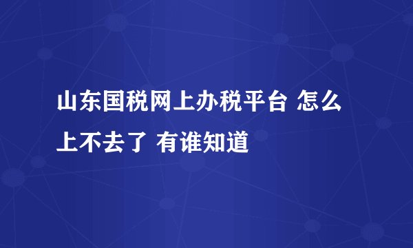 山东国税网上办税平台 怎么上不去了 有谁知道