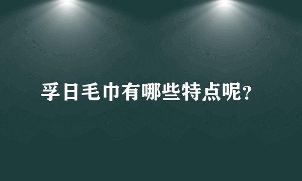 孚日毛巾有哪些特点呢？