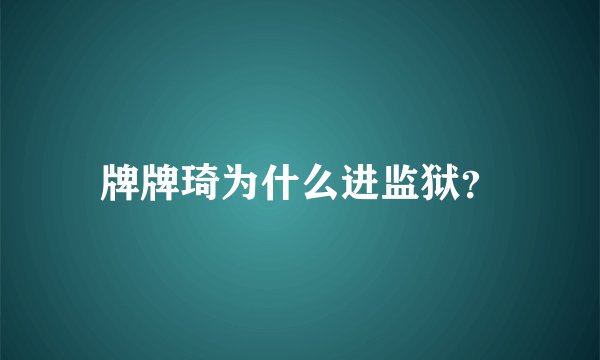 牌牌琦为什么进监狱？
